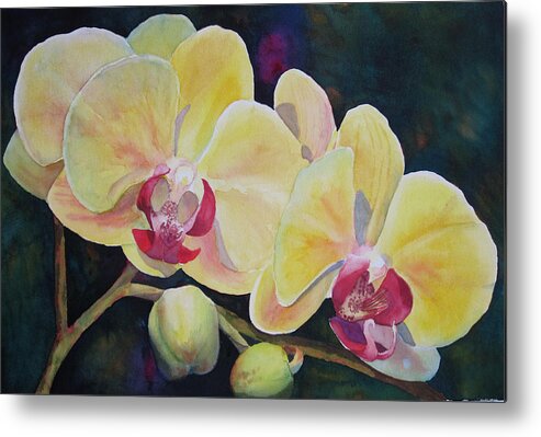 Orchids Metal Print featuring the painting Yellow Orchids by Judy Mercer