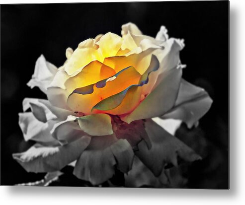 Flowers Metal Print featuring the digital art Yellow Rose Series - ...But soul is alive by Lilia D