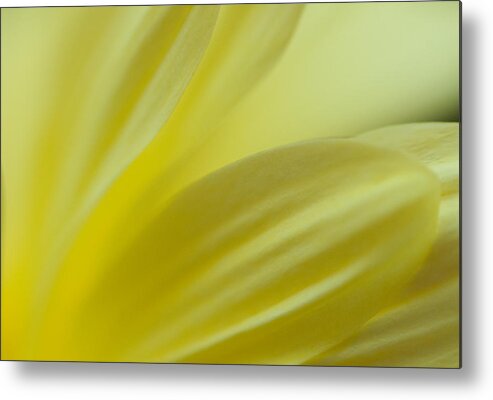 Abstract Metal Print featuring the photograph Yellow splash by Carolyn D'Alessandro