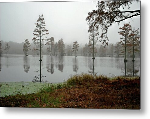 Lake Metal Print featuring the photograph Early morning on the Lake #1 by Bill Hosford