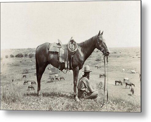 1910 Metal Print featuring the photograph TEXAS: COWBOY, c1910 #1 by Granger