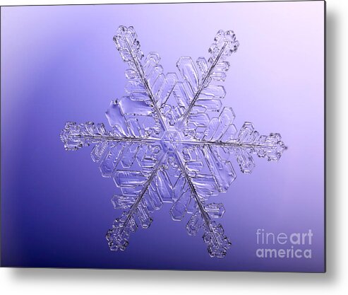 Snow Metal Print featuring the photograph Snowflake #20 by Ted Kinsman