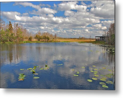  Metal Print featuring the photograph 28- Gator's Paradise by Joseph Keane