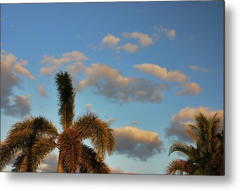 Tropical Metal Print featuring the photograph 9- Tropical Sky by Joseph Keane
