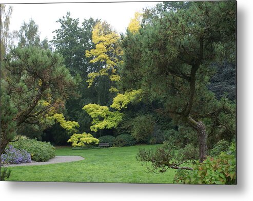 Park Metal Print featuring the photograph A Walk in the Park by Jerry Cahill