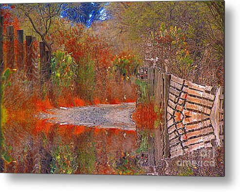 After Metal Print featuring the photograph After The Rains Came by John Kolenberg