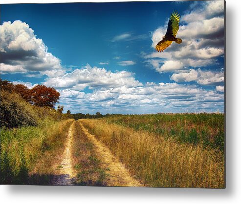 Trail Metal Print featuring the photograph Along the Hiking Trail by Bill and Linda Tiepelman