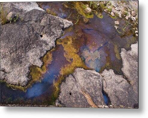 Trans Canada Trail Metal Print featuring the photograph Another World by Jo Smoley