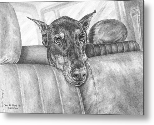 Doberman Metal Print featuring the drawing Are We There Yet - Doberman Pinscher Dog Print by Kelli Swan