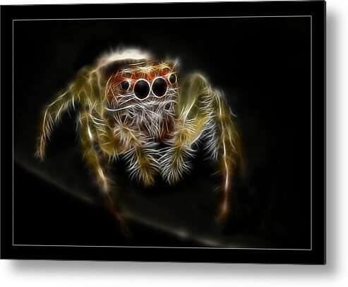  Spiders Metal Print featuring the digital art Bite me by Kevin Chippindall