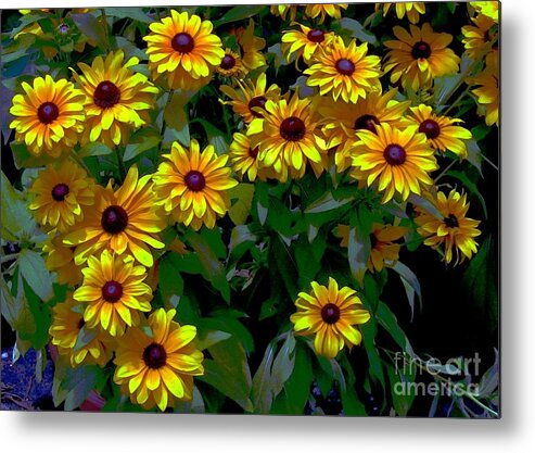 Greeting Cards Metal Print featuring the digital art Black-Eyed Susans by Dale  Ford