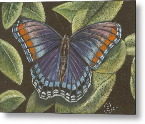 Butterfly Metal Print featuring the pastel Blue Butterfly by Stephanie L Carr