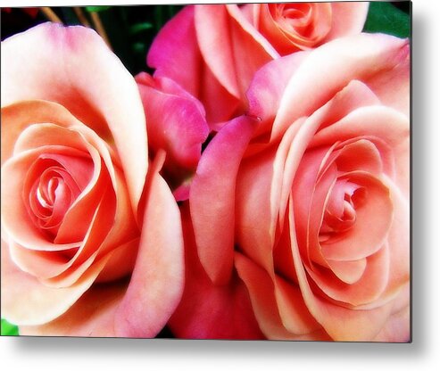 Rose Metal Print featuring the photograph Classic Beauty by Megan Ford-Miller