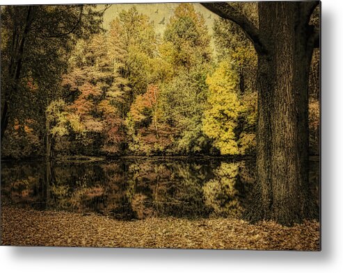 Fall Metal Print featuring the photograph Color Splash by Mary Timman