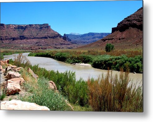 Colorado River Metal Print featuring the photograph Colorado River by Dany Lison