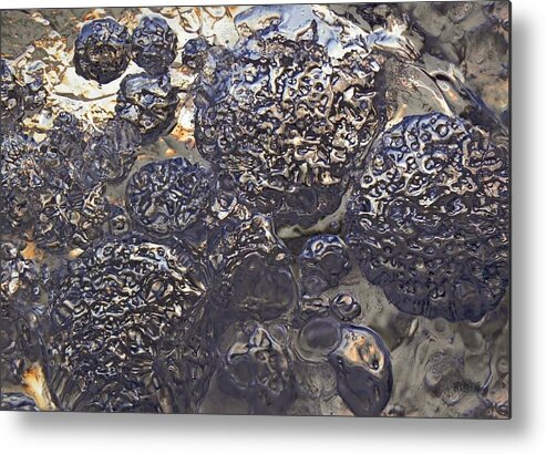 Diversity Metal Print featuring the photograph Diversity 2 by Sami Tiainen