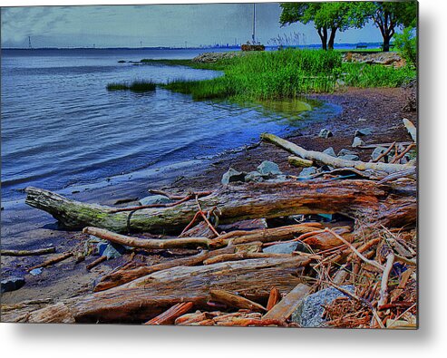 Driftwood Metal Print featuring the photograph Driftwood on Shore by Trudy Wilkerson