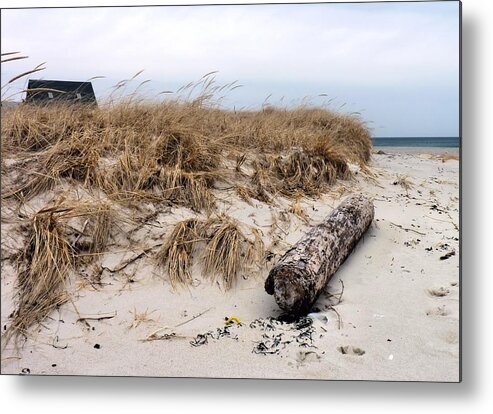 Dunes Metal Print featuring the photograph Dunes by Janice Drew