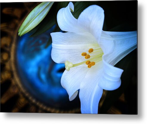 Lily Metal Print featuring the photograph Eclipse With A Lily by Steven Sparks