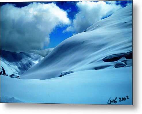 Colette Metal Print featuring the photograph Eye catcher in the Snow by Colette V Hera Guggenheim