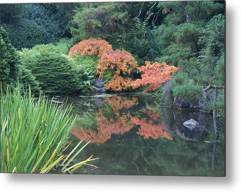 Pond Metal Print featuring the photograph Fall Colors by Jerry Cahill