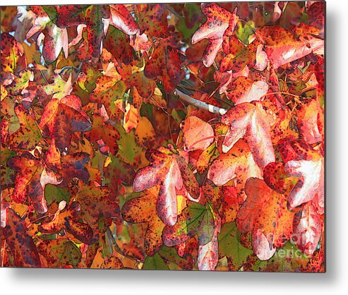 Fall Leaves Metal Print featuring the photograph Fall Leaves - Digital Art by Carol Groenen