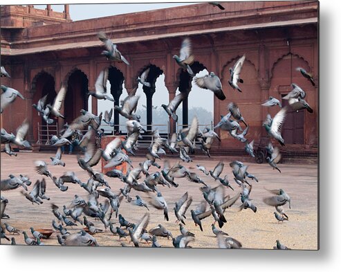 Bird Metal Print featuring the photograph Flight of pigeons inside the Jama Masjid in Delhi by Ashish Agarwal