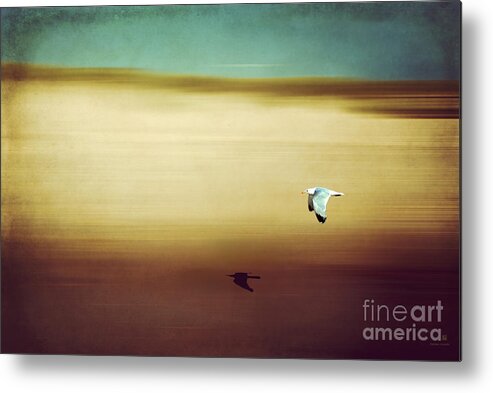 Seagull Metal Print featuring the photograph Flight Over The Beach by Hannes Cmarits