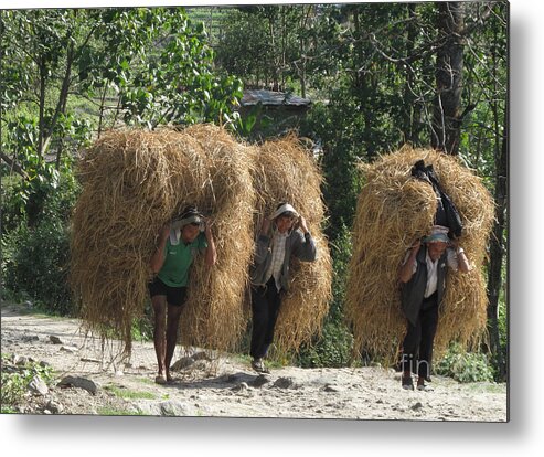 Nepal Metal Print featuring the photograph From the Fields by Louise Peardon