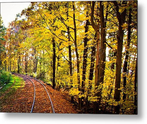 Train Photo Metal Print featuring the photograph Golden Rails by Sara Frank