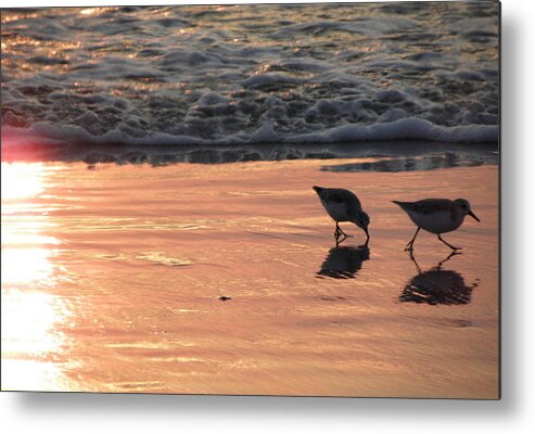 Birds Metal Print featuring the photograph Hurry Before The Wave Comes by Kim Galluzzo