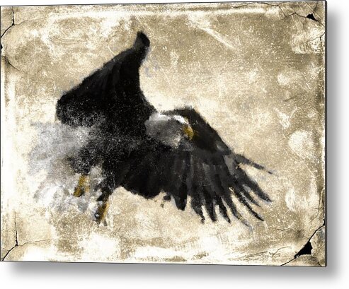 Bald Eagle Metal Print featuring the digital art In Flight 8 by Carrie OBrien Sibley