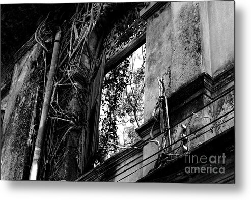 Window Metal Print featuring the photograph It Grows by Dean Harte