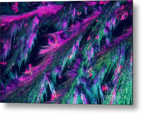 Polarized Light Micrograph Metal Print featuring the photograph L. Tyrosine Crystals by M. I. Walker