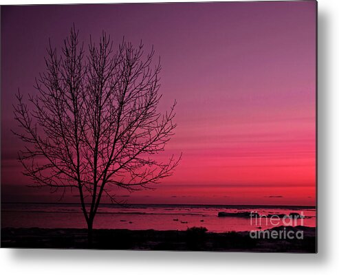 Pink Metal Print featuring the photograph Layers by Terry Doyle