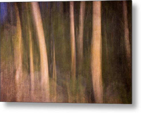Landscapes Metal Print featuring the photograph Magical wood by Guido Montanes Castillo