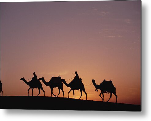 Mp Metal Print featuring the photograph Modern Egyptians Riding Domesticated by Gerry Ellis
