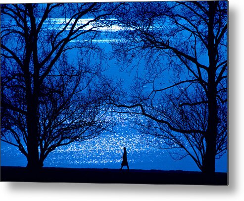 Walk Metal Print featuring the photograph Moonlight Stroll by Mike Flynn