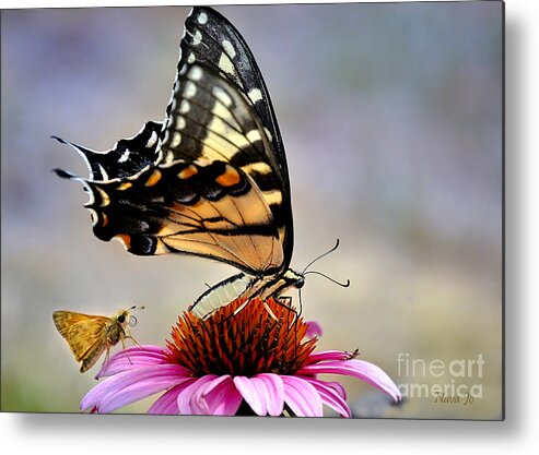 Nature Metal Print featuring the photograph Morning Snack by Nava Thompson