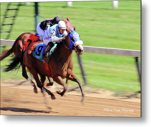 Thorougbred Race Horse Metal Print featuring the photograph 'My Gal Sunday' on Wednesday by PJQandFriends Photography