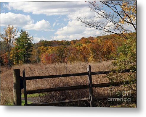 Landscape Metal Print featuring the photograph Off The Beaten Path by Living Color Photography Lorraine Lynch