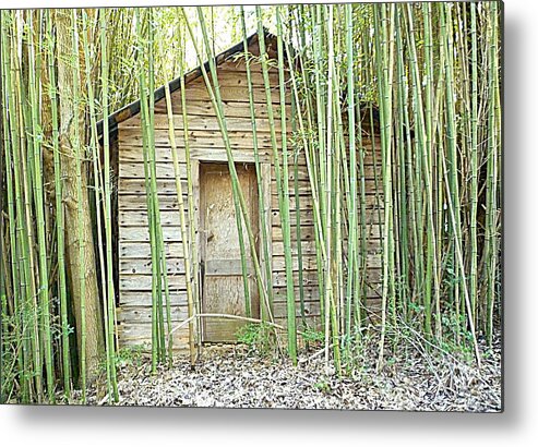 House Metal Print featuring the photograph One Room House with Bamboo by Renee Trenholm
