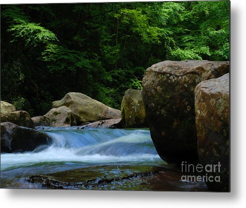 Painted Metal Print featuring the photograph Painted Rocks by Amanda Jones