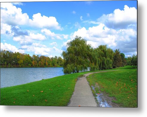  Metal Print featuring the photograph Path by Michael Frank Jr