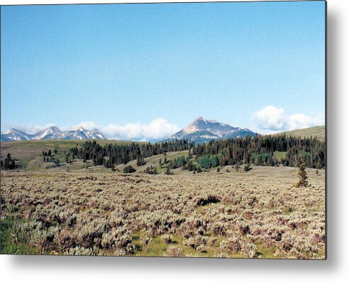Landscapes Metal Print featuring the photograph Peaceful Valley by Jan Amiss Photography