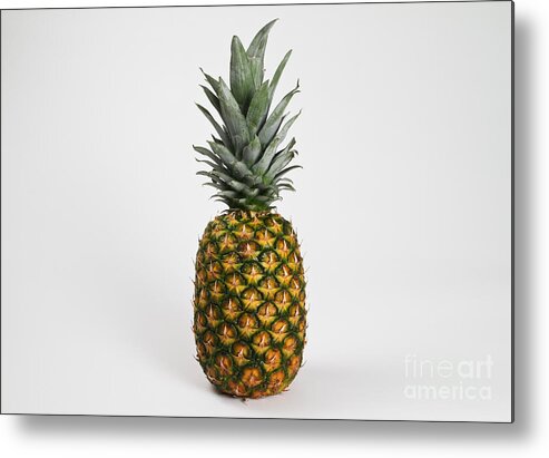 Display Metal Print featuring the photograph Pineapple by Photo Researchers, Inc.