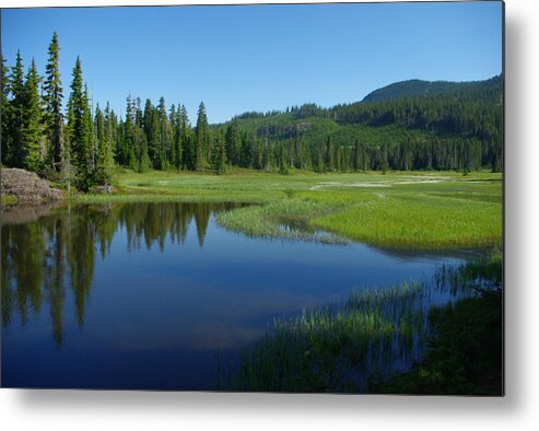 Pond Metal Print featuring the photograph Pond Reflection by Marilyn Wilson