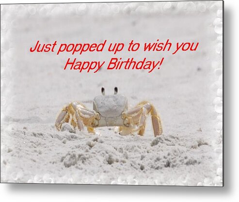 Birthday Metal Print featuring the photograph Popped in to Wish You Happy Birthday by Judy Hall-Folde