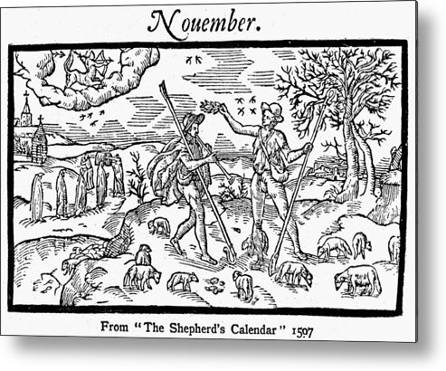 1597 Metal Print featuring the photograph Shepherd, 1597 by Granger