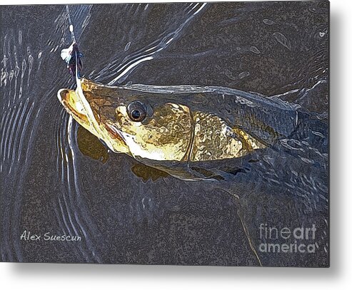 Bonefish Metal Print featuring the painting Snook Slider by Alex Suescun